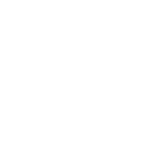 Balmelli SA icon environnement