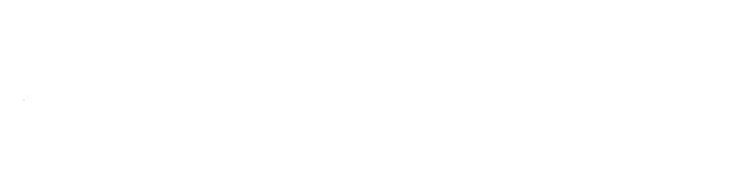 Balmelli SA logo blanc